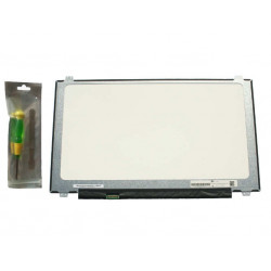 Dalle lcd 17.3 slim LED FHD pour MSI GT72 6QD-087
