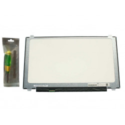 Écran LCD 17.3" WXGA 1600x900 Pour Acer Aspire 7736ZG - Dalle Compatible Neuve