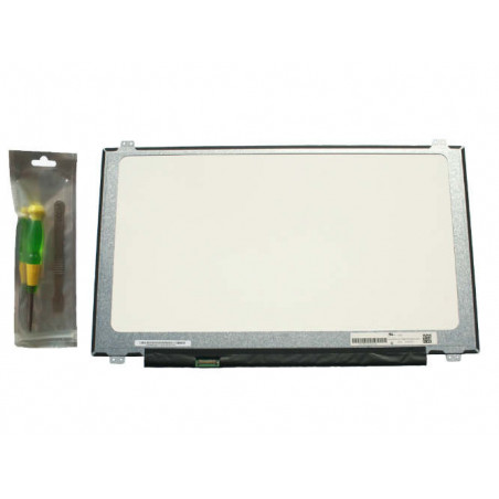 Dalle d'écran 17.3 Slim Full HD pour MSI GL75 9SD-247FR 