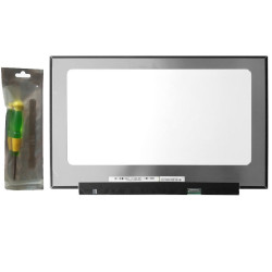 Dalle d'écran 17.3 Full HD 144hz pour MSI GF75 10SC