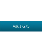 Asus G75