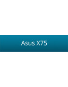 Asus X75