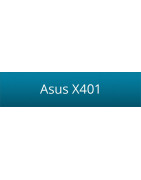 Asus X401