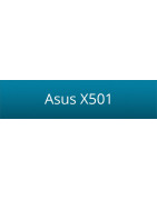 Asus X501